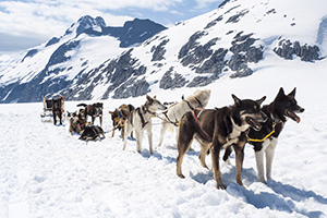 alaska
