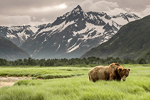 alaska