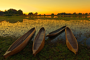 south-africa